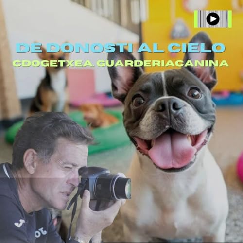 Dogetxea. GuarderiaCanina