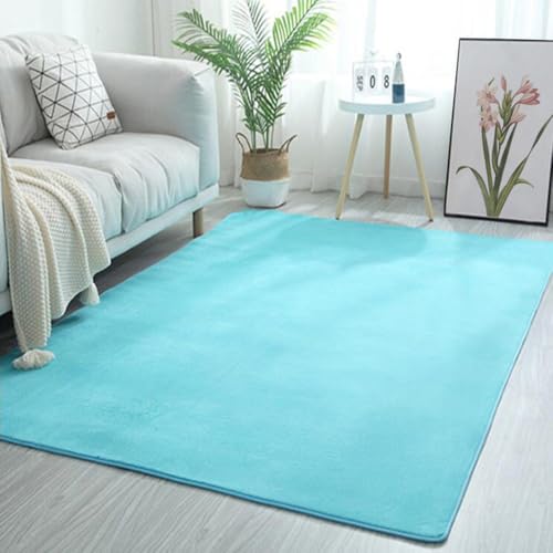 Tapis de salon molleton de corail insonorisé et tapis de maison gris