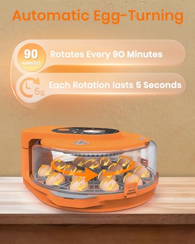 Incubators for Hatching Eggs,15 Egg Incubator with Automatic Egg Turner,Temperature & Humidity Control，Egg Candler,Incubators with 2 Trays, 360° Viewing for Hatching Chicken Duck Goose Quail Bird - Thumbnail 7