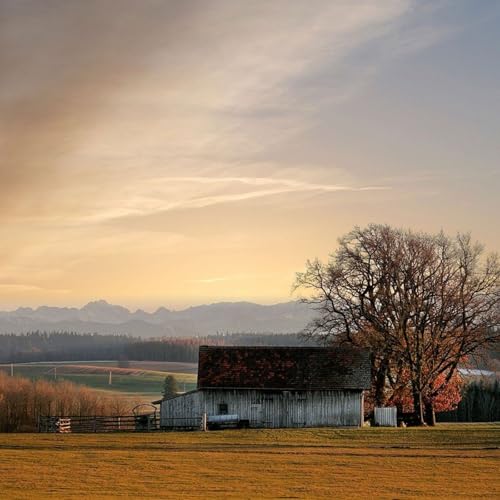 Recuerdos de la casa de los muertos - Dostoyevski_Fiodor 2