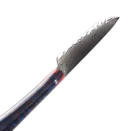 Cuchillo de bistec VG10 Damasco Steel Profesional Chef Cuchillos Ultra Sharp Madera Manija Utilidad Tomate Paring Cuchillos Cocina Cena Cena