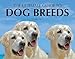 Ultimate Guide to Dog Breeds (Paperback Chunkies)