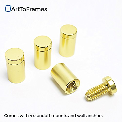 Arttoframes Floating Acrylic Frame For Pictures Up To 16X20 Inches (Full Frame Is 20X24) With Gold Standoff Wall Mount Hardware, Acrylic-109-16X20-71 #TOP5