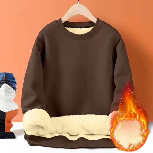 Mens Pullover Crew Neck Fleece Lined Sweater Thermal Winter Sweaters Long Sleeve Plain Casual Workwear Thick Gym Fuzzy Fluffy Sweatshirts 01-Coffee XL