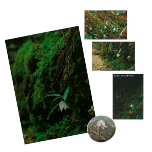 [島根県川本町]イズモコバイモ・雑貨セット