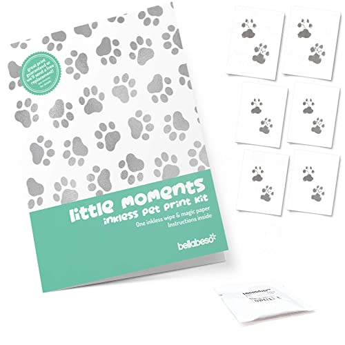 Bella Beso Dog and Cat Pet Paw Print Inkless Kit - six ready to frame sheets and one inkless sachet