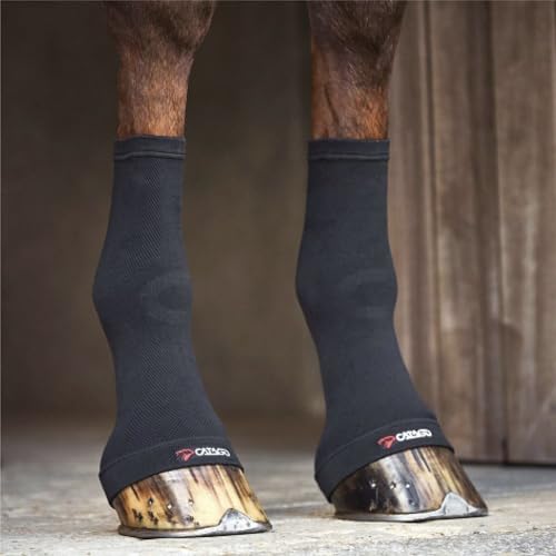 Catago Fir Tech Fetlock Socks Black One Size