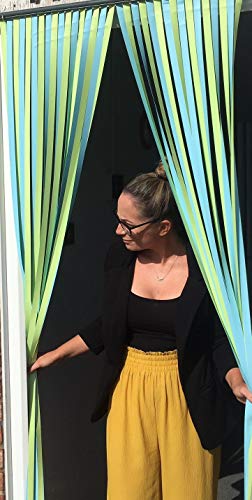 Holland Plastics Original Brand Slat Type Door Curtain/Fly Blind - Mint Fresh - with Pair of Screw in Hooks for Wooden Frames- 80cm Wide