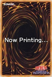 VYJ[h ڂCȎd DL1-031N