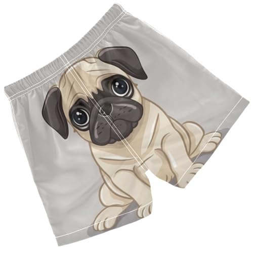 Pigsaly Boys Swim Trunks Cartoon Pug Dog Bulldog Boys Board Shorts Swimsuit Swimwear Summer Bathing Suit 4T Multicolor2