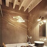 Dieses Produkt enthält keine Lichtquelle. Die Lichtquelle ist kostenlos und nicht durch die Garantie abgedeckt.