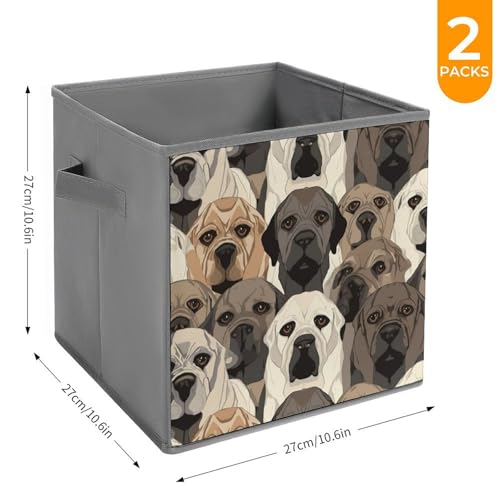 Boîtes de rangement pliables chien pour étagères et placard