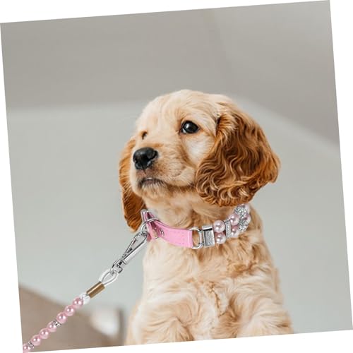Laisse pour chiots et petits chiens de 3m - Corde de traction légère - 6