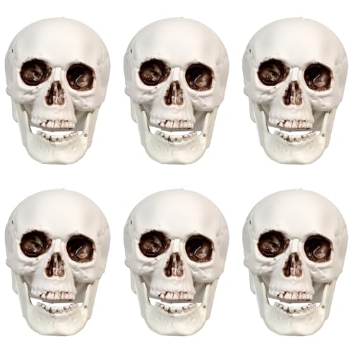 Northlight Skeleton Skull Halloween Decorations - 3.5