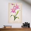 Lantern Press 16x24 Inch Giclee Print, Oncidium, Orchid, Vintage Flora