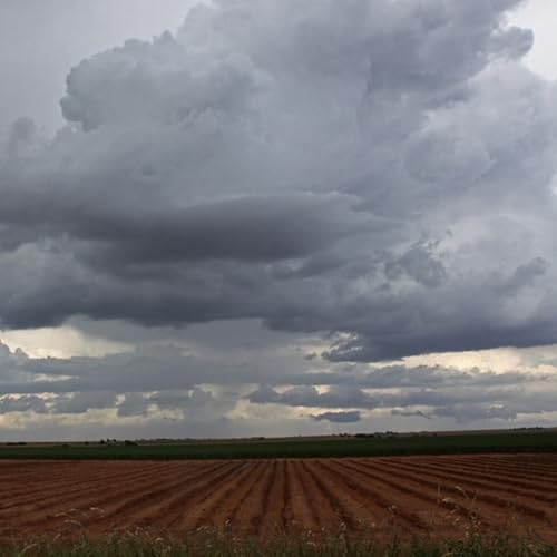 Le journal du 07 mai 2026 - Point de presse m&eacute;t&eacute;o et raret&eacute; de la mangue dans la localit&eacute; de Say