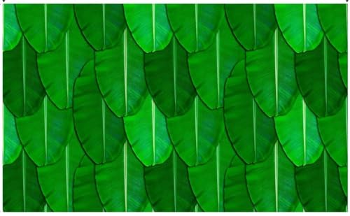 Image of Banana Leaves Back Drop Curtain for Decoration Banana Leaf Backdrop Cloth for Wedding Haldi House Hold Ceremany Functions (8X5), Green