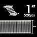 1 inch Standard Tagging Gun Fasteners, Tag Gun Refills,Plastic Fasteners,Clothing Tag Barbs Attachments Price Label for All Standard Price Tag Gun(5000pcs)