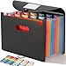 SortRax Accordion File Organizer 12 Pockets, Monthly Bill Receipt Tax Organizer, Expanding File Folders with Larger Bright Tabs, Fits Letter/A4 Size - Black