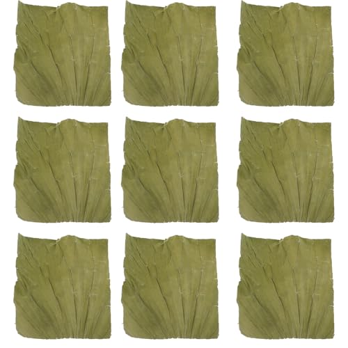 HIAKDOFT 100חtiՑp `RHiCi[ iv[gp[tfR[V pt[hbv p[eB[v[