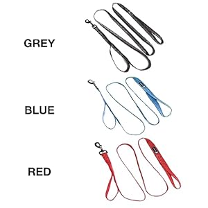 Blue 9 reflective dog leash double attachment 6 foot adjustable lead with 3m reflective stitching for obedience running and agility training made in the usa smallmedium blue   cucciolini doodles