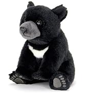 カロラータ ツキノワグマ ぬいぐるみ (リアルアニマルベイビー/やさしい手触り) リアル くまのぬいぐるみ 動物 赤ちゃん おもちゃ お人形 ギフト プレゼント 誕生日 (検針2度済み)