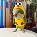 Bird Costume Bird Diaper Flight Suit Chicken Shaped Bird Clothes Cosplay Photo Prop for Parrots Parakeet Cockatiel Sun Conure, Bird Hoodie Small Animals Apparel (with Diaper,Green Quaker)
