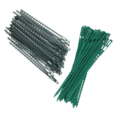 NUOLUX 300|poh _ȋfUCŐADŒ ό󐫂ƒ\ȃK[fY |x≮OÂT|[