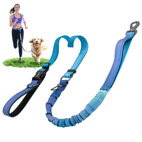 DAISTERN 6-in-1 Jogging Lead for Dogs, Free Hands-Free Lead, Elastic, Shock-Absorbing, Reflective with 360° Rotating Locking Carabiner, Adjustable Waist Belt for Medium and Large Dogs, Blue