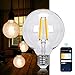 Produktbild Aigostar Smart LED Light Bulb E27, 6 W Vintage Light Bulbs, G95 Transparent Globe, 850 LM Warm White, Dimmable, 2700 K - 6500 K, Compatible with Alexa and Google Home, No Hub Required, 2.4 GHz WiFi