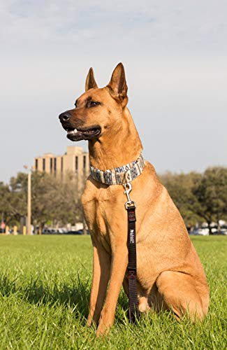 Leashboss Short Dog Leash For Dog Training | Padded Traffic Handle Short Leash For Dog Training, Total Comfort When Dog Walking | Traffic Leash For Dogs Large, Medium, Small | Short Nylon Dog Lead #TOP3