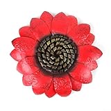 Matériau durable : fabriquée à partir de fer robuste, cette pièce décorative est conçue pour une utilisation durable, vous permettant de profiter de sa beauté pour les années à venir.