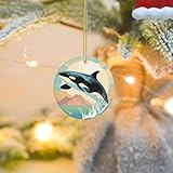 High-quality Material: Personalized Xmas ornaments decoration is made of high-quality ceramics, the printed text is not easy to fade, and it feels good, Orca in the Sea Christmas ornament is unique design makes the ornament attract the attention of m...