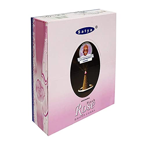 Fresh Rose Incense Cones And Cone Incense Burner Bundle Insence Insense Satya Incense #TOP2