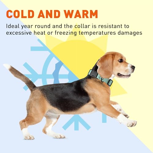 Image of Dogline Biothane Waterproof Dog Collar with Quick Release Buckle Strong Coated Nylon Webbing with Odor- Proof for Easy Care Easy to Clean Fits Small Medium Large Dogs, Sage Green 1 inch W 15-23 inch L