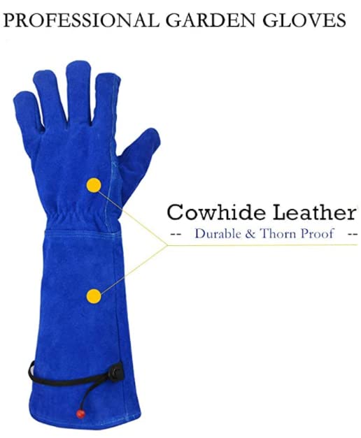 Kim Yuan Rose Pruning Gloves for Women Men Gardening Long Ladies Thorn Proof Garden Gloves (Large, Blue) - Image 3