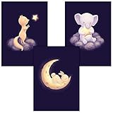 ❤️ Unsere Motive sind z.B. Waldtiere in schwarz & weiß, Fahrzeuge, Einhorn, Hase, Indianer, Löwe, Planeten, Tiere-Drucke im skandinavischen Design