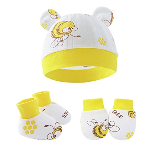 [culetad] xr[XqA`XNb`~gCZbgc^[oXqȖXqV܏ȂƌC