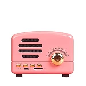 Radio Portable Bluetooth Speaker Retro Mini draagbare draadloze Bluetooth Speaker Pocket USB-muziekspeler en subwoofer Color (Color : Pink)