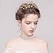 Paxuan Luxury Womens Clear Rhinestone Crystal Choker Necklace Wide Collar Necklace Adjustable (Silver Plated White Crystal)