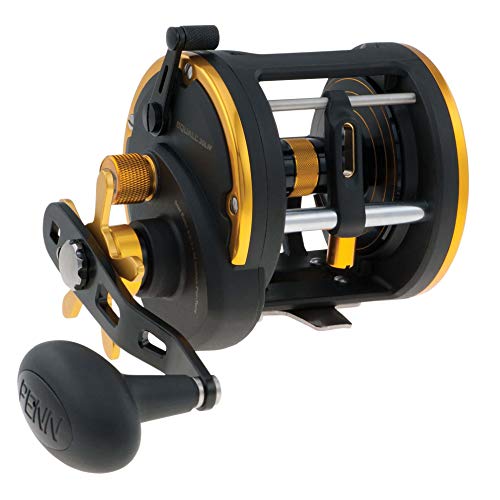 PENN Fishing SQL30LW Squall LevelWind , Black, 370yd/30Lb