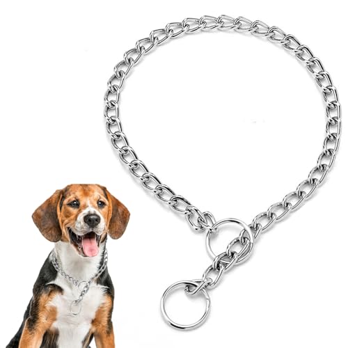 Choke Collar for Dogs Metal Slip Link Training Heavy Duty Martingale Puppy Collars for XXS XS Small Medium Large Big XL Breed Dogs Silver XXS