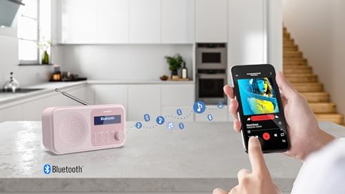 SHARP DR-P420 (PK) Radio numérique Portable Tokyo (Dab/Dab+/FM avec RDS, Bluetooth, USB ou Piles) Rose