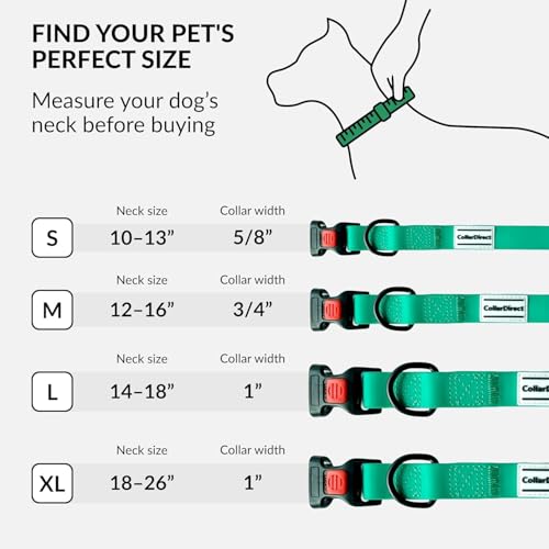 CollarDirect Wasserdichtes Hundehalsband Verstellbar – Silikon & Kunststoff, Geruchsresistent, Leicht zu Reinigen, Sicherheitsverschluss – für kleine, mittlere & große Hunde (Minzgrün, XL (45-66 cm))