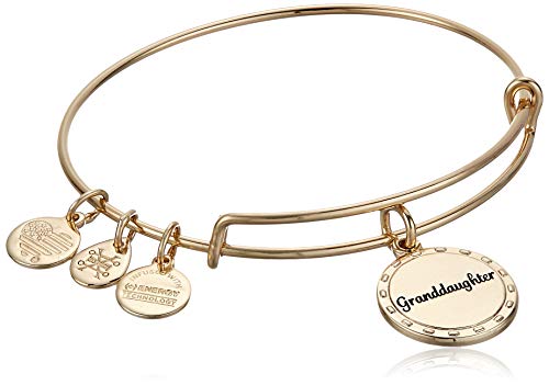 Alex and Ani Because I Love You Granddaughter Expandable Wire Bangle Bracelet for Women, by Your Side Charm, Shiny Antique Gold Finish, 2 to 3.5 in - Main Image