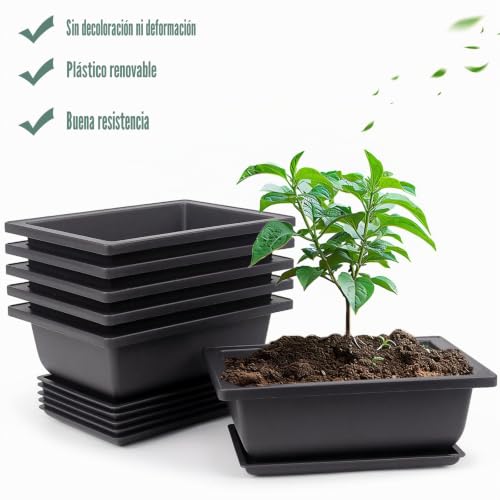 Miniatura 4 de Fswwsf 6 Cuencos Para Bonsái Con Posavasos, Maceta Para Bonsái, Maceta De Plástico Profunda, Para Jardín, Plantas, Patio, Sala De Estar, Balcón, Oficina