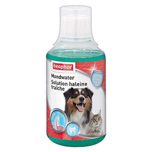 Beaphar buccafresh Aliento Fresco solución 250 ml