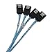 immagine 1YIWENTEC Internal HD Mini SAS (SFF-8643 Host) to 4X SATA (Target) Hard Drive Cable (100CM) (H0107)