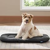 BEDSURE waschbar Hundekissen für mittelgroße Hunde - dünne Hundebette kleine und mittelgroße Hunde, weiche und Bequeme Hundematte mit Rutschfester Unterseite- 74x46 cm,Dunkelgrau