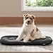 BEDSURE waschbar Hundekissen für mittelgroße Hunde - dünne Hundebette kleine und mittelgroße Hunde, weiche und Bequeme Hundematte mit Rutschfester Unterseite- 74x46 cm,Dunkelgrau